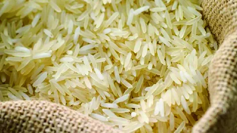 تصویر 5 از خرید برنج علی کاظمی + قیمت فروش استثنایی